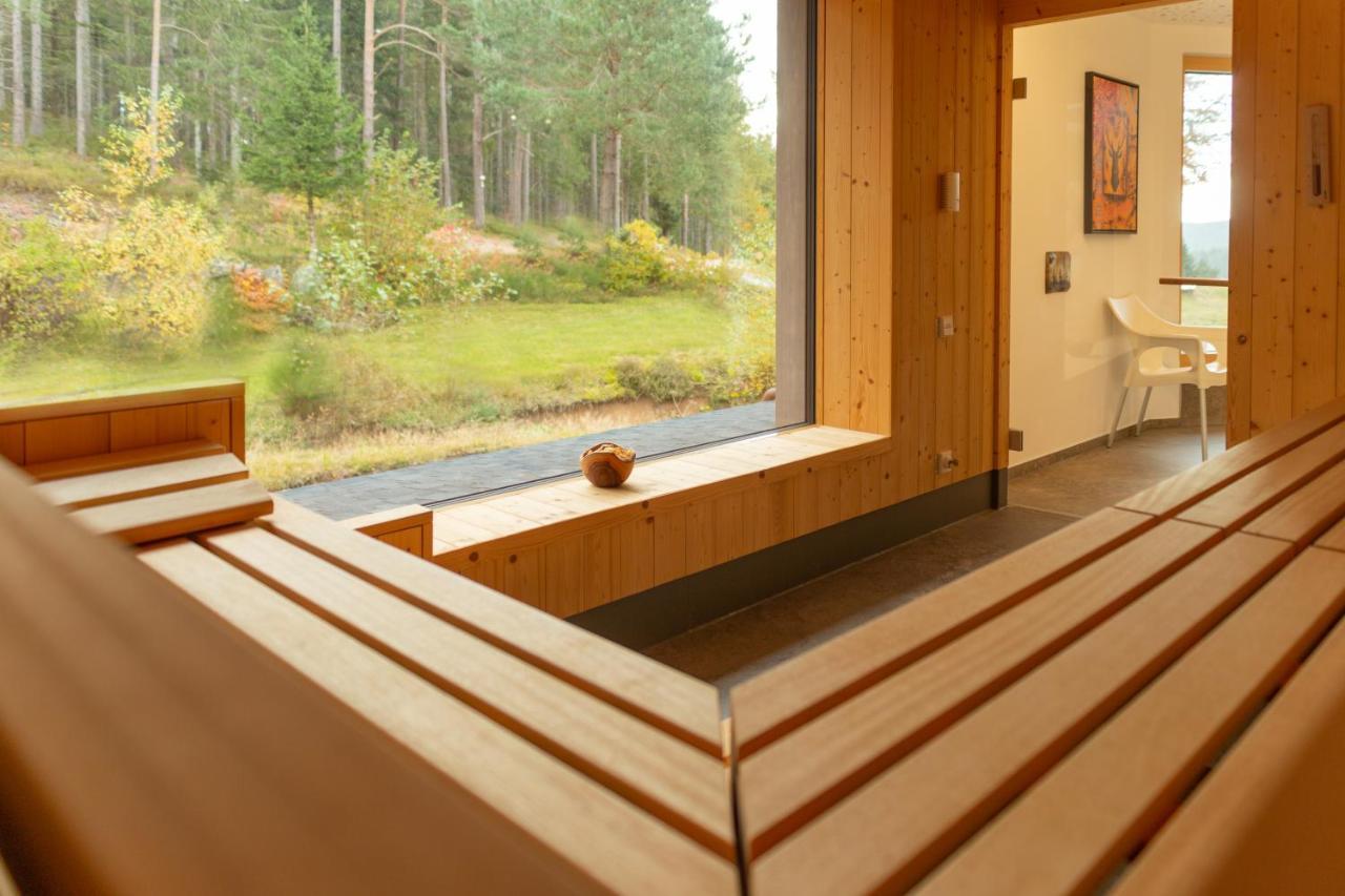 Hotel Schoene Aussicht Hornberg Zewnętrze zdjęcie