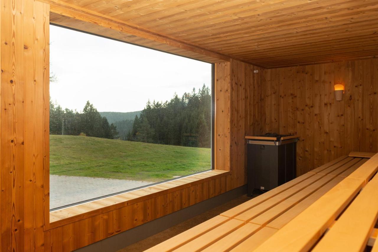 Hotel Schoene Aussicht Hornberg Zewnętrze zdjęcie