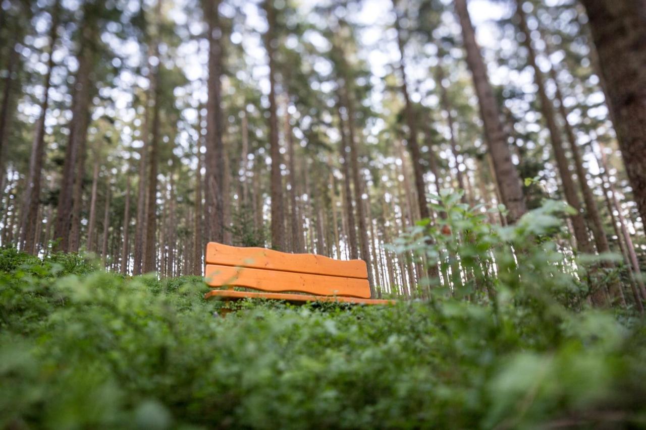 Hotel Schoene Aussicht Hornberg Zewnętrze zdjęcie
