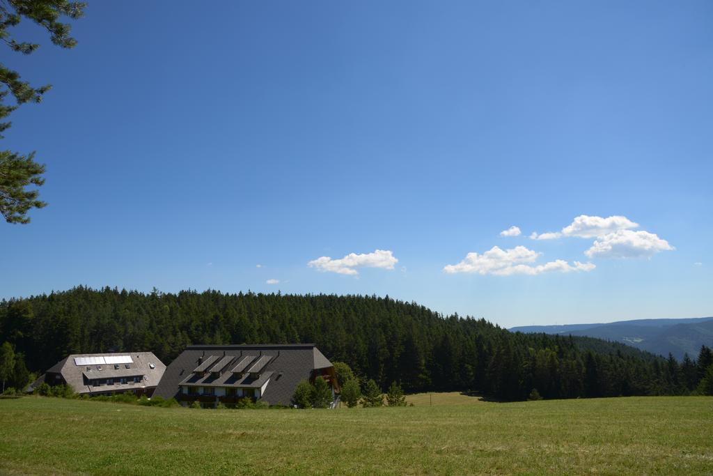 Hotel Schoene Aussicht Hornberg Zewnętrze zdjęcie